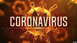 Talk on Impact of Coronavirus on our economy